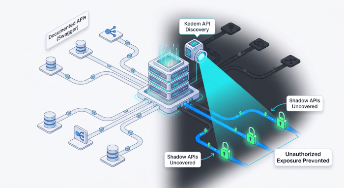 Discover & Secure